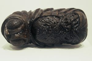 Larva detail, cast stone, shellac. 16 in x 8 in x 10 in.