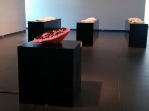 Silicone Valley, installation view at The Art Gallery of Grande Prairie